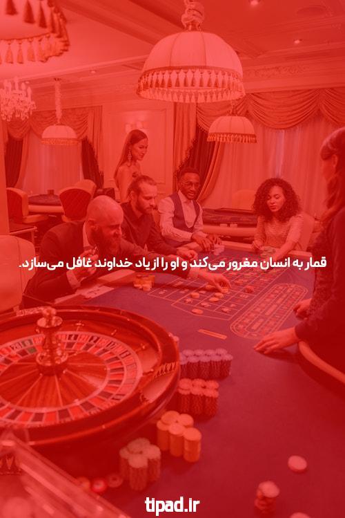 نازنین همدانی در چه حوزه هایی فعالیت می کند؟